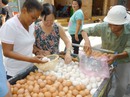 Quả trứng cay đắng! Quả trứng cay đắng!