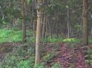 Đi nhậu về, chặn đường, hiếp dâm phụ nữ bên đường Đi nhậu về, chặn đường, hiếp dâm phụ nữ bên đường
