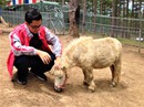 Trải nghiệm tuyệt vời tại vườn thú Úc ở Đà Lạt Trải nghiệm tuyệt vời tại vườn thú Úc ở Đà Lạt