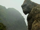 Mãn nhãn với phong cảnh Việt Nam trên "Kong: Đảo đầu lâu" Mãn nhãn với phong cảnh Việt Nam trên "Kong: Đảo đầu lâu"