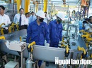 Hơn 180.000 cử nhân thất nghiệp Hơn 180.000 cử nhân thất nghiệp