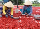 ĐBSCL cần đẩy mạnh thu hút đầu tư ĐBSCL cần đẩy mạnh thu hút đầu tư