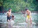 Thương nhớ tôm cá đồng chiêm Thương nhớ tôm cá đồng chiêm