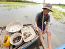 Sướng với mùa nước nổi đang về miền Tây Sướng với mùa nước nổi đang về miền Tây
