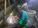 Nỗi niềm mùa nước nổi bên Bến Cá miền Tây Nỗi niềm mùa nước nổi bên Bến Cá miền Tây