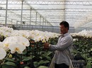 Xuất ngoại học... làm nông nghiệp Xuất ngoại học... làm nông nghiệp