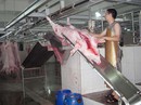 Trung Quốc cũng muốn "giải cứu" heo Việt? Trung Quốc cũng muốn "giải cứu" heo Việt?