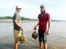 Ngư dân Nghệ An hè nhau xuống biển săn "thần dược" Ngư dân Nghệ An hè nhau xuống biển săn "thần dược"
