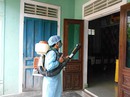 Muỗi sốt xuất huyết “nhờn” hóa chất? Muỗi sốt xuất huyết “nhờn” hóa chất?