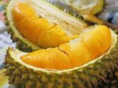 Các món ăn sầu riêng chữa bệnh Các món ăn sầu riêng chữa bệnh