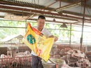 KKR đầu tư 250 triệu USD vào Masan Nutri-Science KKR đầu tư 250 triệu USD vào Masan Nutri-Science