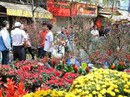 Nhiều hoạt động mừng năm mới tại Hà Nội Nhiều hoạt động mừng năm mới tại Hà Nội