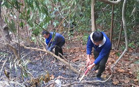 200 người khẩn trương chữa cháy rừng tự nhiên tại Đà Nẵng