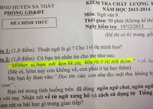 
	Đề thi bàn về việc sử dụng ngôn ngữ trong cách giao tiếp. Ảnh: Facbook