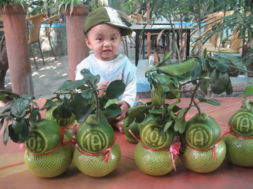 Bưởi hồ lô có in hình “Tài- Lộc” giá cao hơn nhiều so với mọi năm nhưng vẫn không đủ hàng.