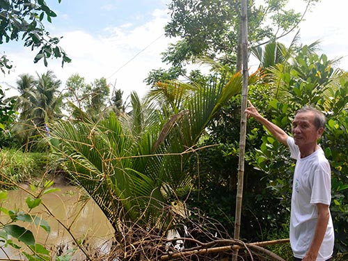 Nhiều hộ dân ở xã Đông Phước, huyện Châu Thành, tỉnh Hậu Giang phải kéo nhờ điện để sử dụng