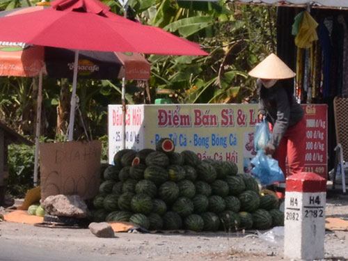 Dưa hấu đang được bày bán trên các tuyến quốc lộ, tỉnh lộ ở Vĩnh Long với giá chỉ từ 5.000-6.000 đồng/kg  Ảnh: NHẬT THANH