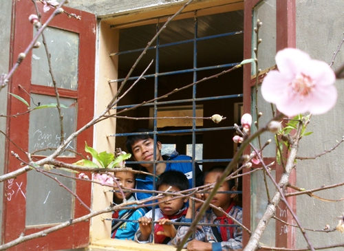 Các em nhỏ ở trường phổ thông cao sơn thích thủ ngắm hoa đào nở bên song cửa sổ.
