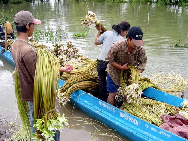 Những chợ đặc biệt chỉ có trong mùa lũ 