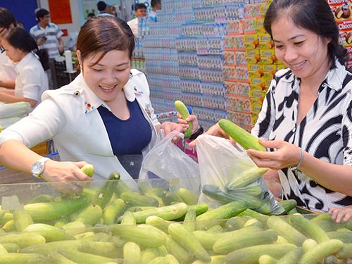 Dưa leo giúp gan, thận và ruột thanh lọc độc tố trong máu Ảnh: TẤN THẠNH