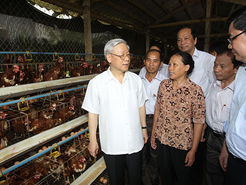Tổng Bí thư Nguyễn Phú Trọng thăm trang trại chăn nuôi gà của gia đình cựu chiến binh Nguyễn Duy Dậu   Ảnh: TTXVN