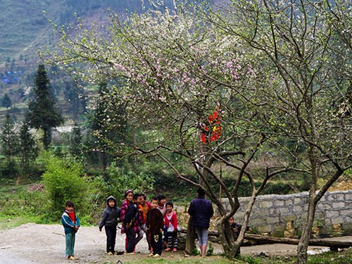 Du khách đi Tây Bắc nên chú ý về thời tiết và mang theo hành lý gọn nhẹ Trong ảnh: Mùa xuân ở Hà GiangẢnh: ÁNH NGUYỆT