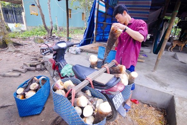 Ông Lê Văn Đủ, ở ấp Vồ Đầu, xã An Hảo, huyện Tịnh Biên có 1,8 ha đất rừng trên Núi Cấm.