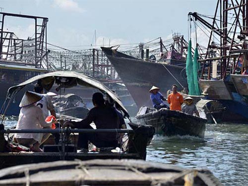 Tàu cá ở tỉnh Quảng Tây - Trung Quốc chuẩn bị ra khơi ngày 1-8  Ảnh: CHINA NEWS