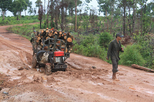 Xe chở gỗ lậu ung dung qua trạm bảo vệ rừng của Công ty TNHH MTV Lâm nghiệp Cư M’lanh (Đắk Lắk)