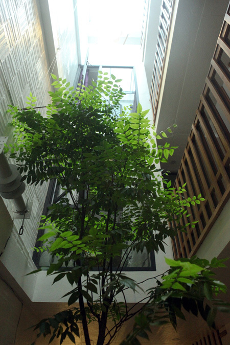 KTS Lê Tấn Kỳ, người thiết kế căn nhà, đưa ra giải pháp cắt lại 5 m2 mỗi tầng để làm giếng trời, đủ không gian và ánh sáng để trồng một cây khế và biến nó trở thành trung tâm của căn nhà, khiến ngôi nhà tràn đầy sức sống.