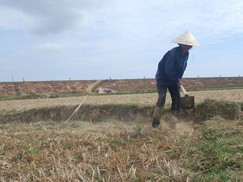 Nhiều diện tích đất trồng lúa ở Quảng Nam đang thiếu nước gieo sạ do nắng hạn nghiêm trọng Ảnh: TRẦN THƯỜNG