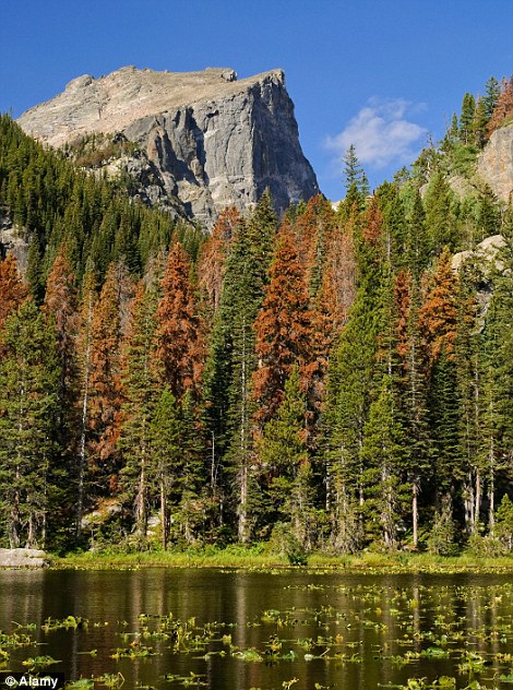 Vườn quốc gia Rocky Mountain ở bang Colorado - Mỹ.