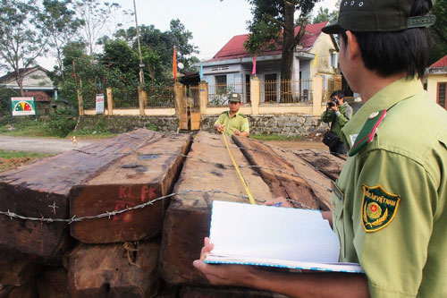 Hai trong số hàng chục phách gỗ tang vật này đã mất Ảnh: CÔNG THÀNH