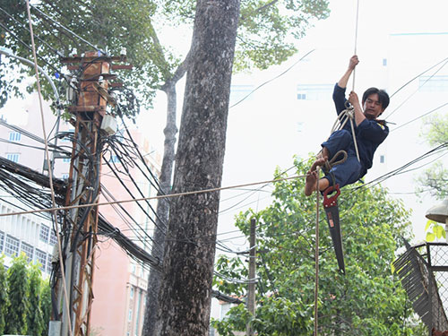 Sau khi xong nhiệm vụ, công nhân cây xanh đu dây xuống đất