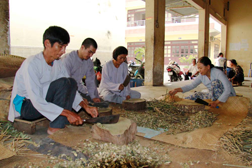 Những người làm công quả sơ chế dược thảo tại chùa Hưng Minh                                      Ảnh: HOÀNG TRIỀU