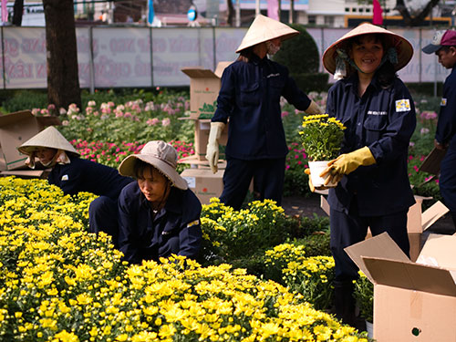Các công nhân gấp rút chuẩn bị cho Hội hoa Xuân 2014