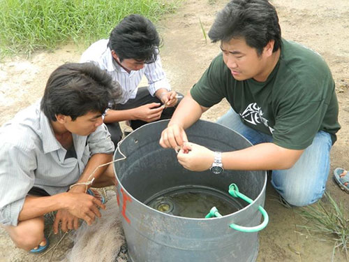 TS Trần Hữu Lộc (bìa phải) lấy mẫu bệnh tôm tại ĐBSCL để mang về Mỹ nghiên cứu