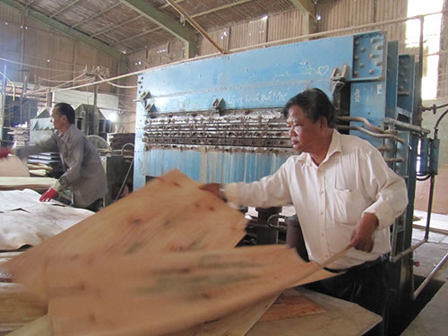Doanh nhân Nguyễn Văn Đức trong xưởng sản xuất ván ép nhân tạo Ảnh: HOÀNG DŨNG