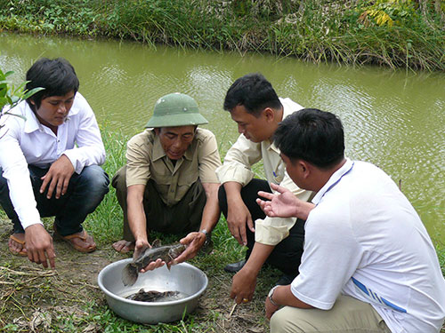 Thương binh L&ecirc; Văn H&ograve;a gi&uacute;p đỡ người ngh&egrave;o c&aacute;ch thức sản xuất