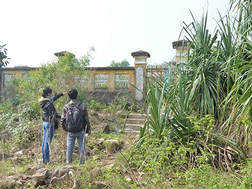 Cỏ cây phủ um tùm ngay cổng vào di tích lăng mộ bà Đoàn Quý Phi