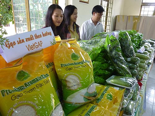 Sản xuất rau sạch tại TP HCM đang được thị trường tiêu thụ mạnh
