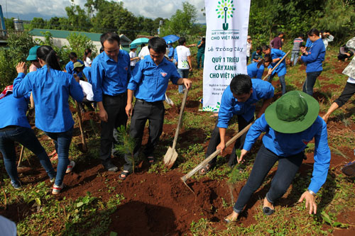 Các đoàn viên thanh niên tại Điện Biên cùng tham gia trồng cây trên đồi Độc Lập