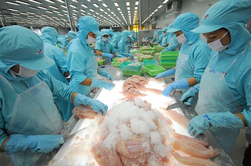 Doanh nghiệp cần xây dựng thương hiệu mạnh để xuất khẩu thủy sản bền vững ra thị trường thế giới
Ảnh: Nguyễn Hải