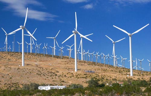 Gió là nguồn năng lượng tiềm năng của quốc gia Ảnh: internet