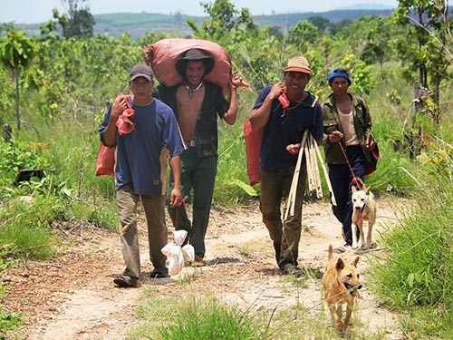 Nhóm thợ săn làng Nghơm Thung, xã Ia Pết, huyện Đắk Đoa đang trên đường vào rừng săn thú