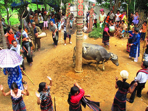 Những gia đình có điều kiện tổ chức đám cưới lớn trong đó có lễ hội đâm trâu Ảnh: NGUYÊN ĐĂNG