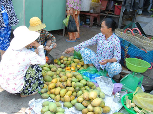 Xoài rớt giá đổ bán đầy đường