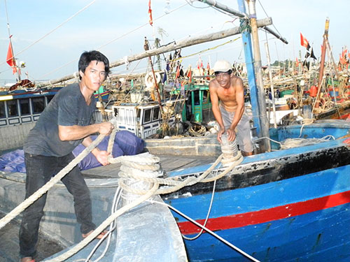 Ngư dân Hải Phòng neo đậu tàu thuyền để tránh bãoẢnh: Trọng Đức