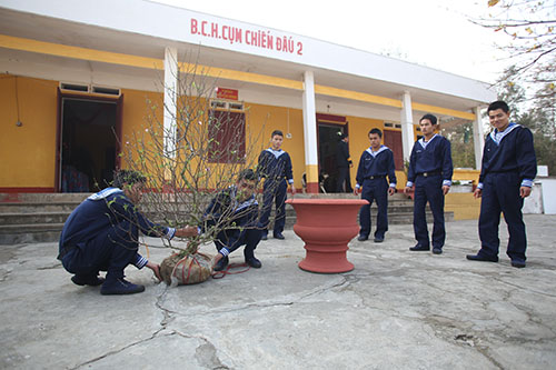 Trang trí cành đào cũng là công việc không thể thiếu để không khí Tết thêm phần rộn ràng