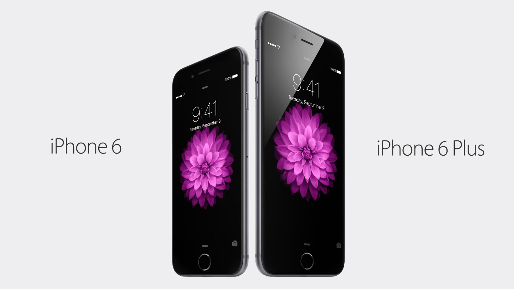 iPhone 6 và iPhone 6 Plus cùng ra mắt